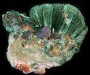 Silky, Fibrous Malachite Crystals - Morocco #42014-1